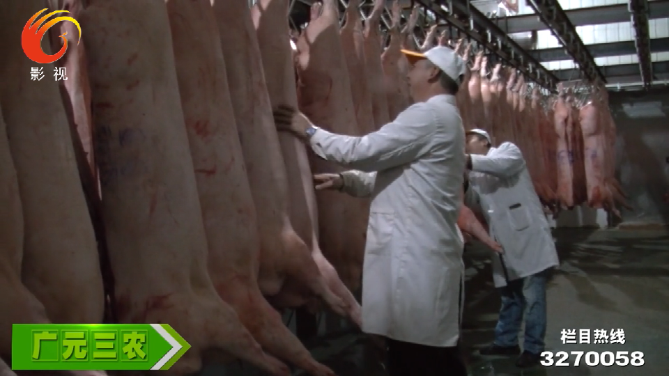 《广元三农》——稳定生猪生产 保障节日供应