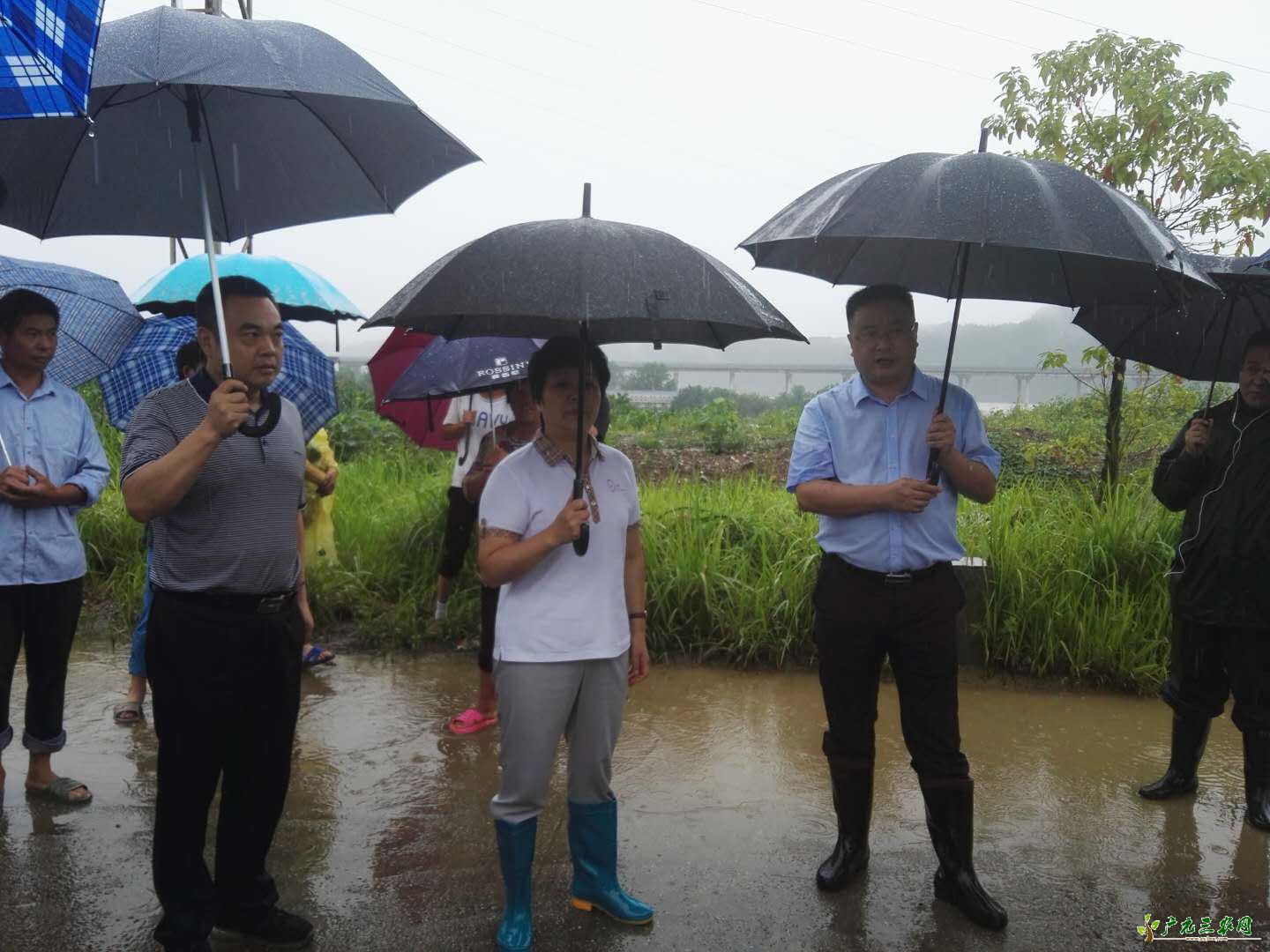 吴桂华副市长在昭化区检查指导抗洪抢险救灾工作